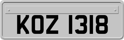 KOZ1318
