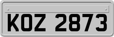 KOZ2873