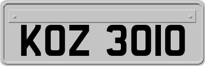 KOZ3010
