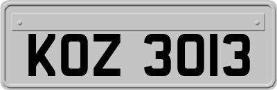 KOZ3013