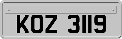 KOZ3119
