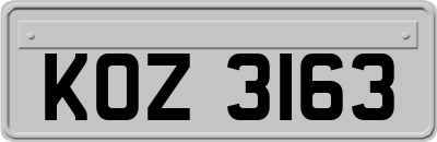 KOZ3163