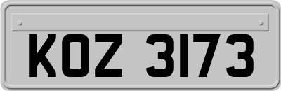 KOZ3173