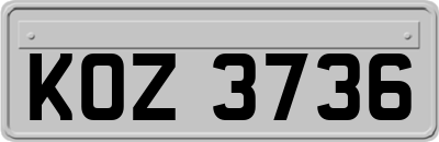 KOZ3736