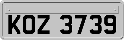 KOZ3739