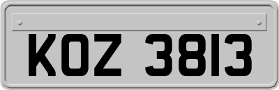 KOZ3813