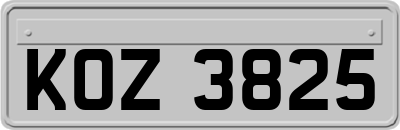 KOZ3825