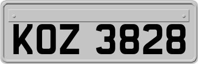KOZ3828
