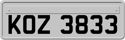 KOZ3833