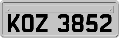 KOZ3852