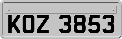 KOZ3853