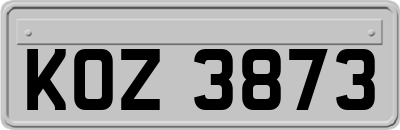 KOZ3873