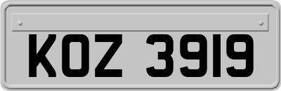 KOZ3919