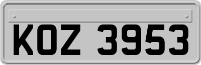KOZ3953