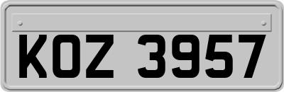 KOZ3957