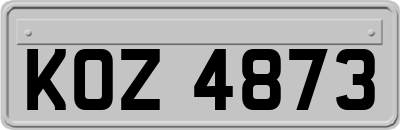 KOZ4873