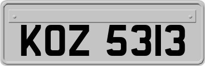 KOZ5313