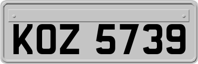 KOZ5739