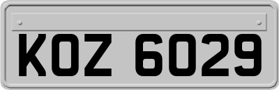 KOZ6029