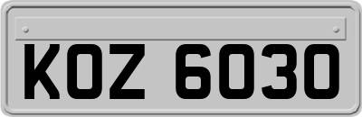 KOZ6030