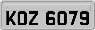KOZ6079