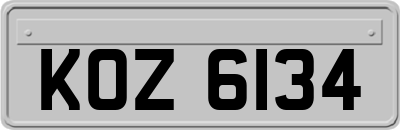 KOZ6134