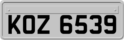 KOZ6539