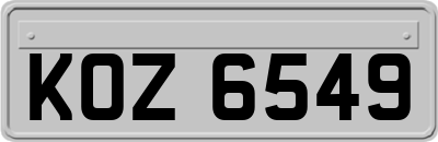 KOZ6549