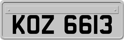 KOZ6613