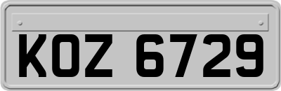 KOZ6729