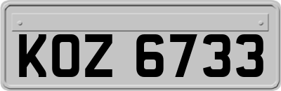 KOZ6733