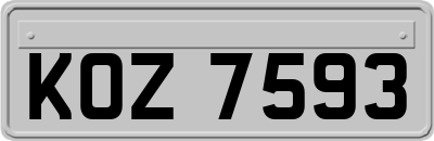 KOZ7593