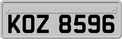 KOZ8596