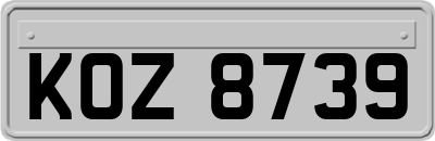 KOZ8739