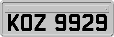 KOZ9929
