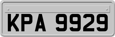 KPA9929