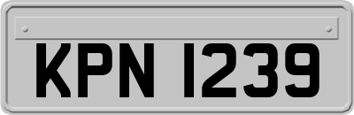 KPN1239