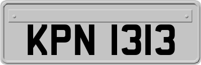 KPN1313
