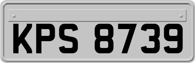 KPS8739