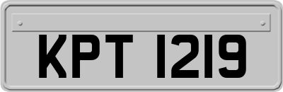 KPT1219