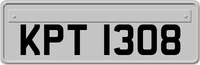 KPT1308
