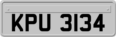 KPU3134