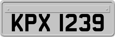KPX1239