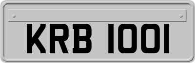KRB1001
