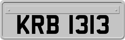 KRB1313