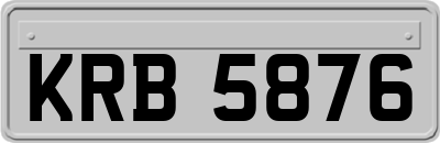 KRB5876