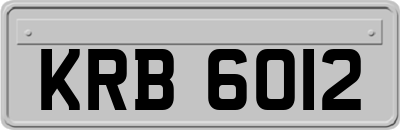 KRB6012