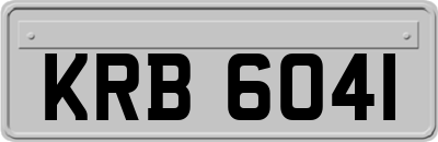 KRB6041