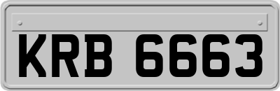 KRB6663