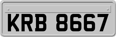 KRB8667